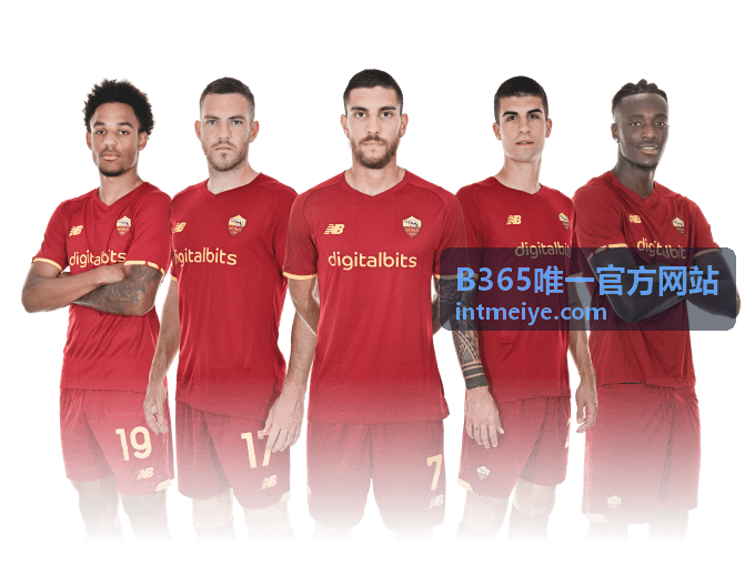 常见问题汇总 B365用户支持